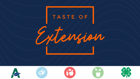 Taste of Extension