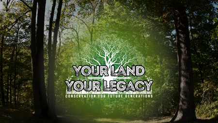 forest with "your land, your legacy" logo