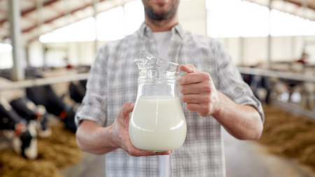 Farmer holding a pitcher of milk in a dairy barn.