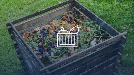 A compost bin filled with vegetable and fruit scraps.