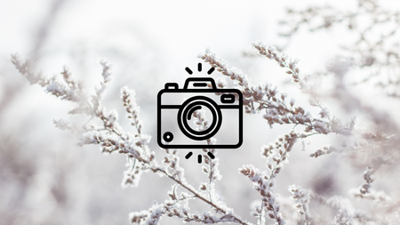 A tree branch with snow on it's branch with a camera graphic in the middle of image.