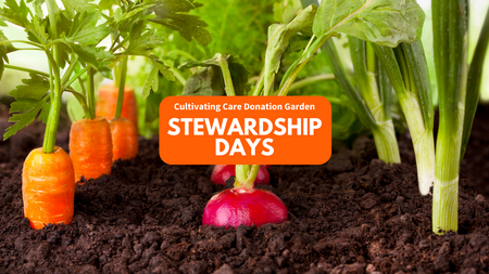 A row of carrots in a garden with "Cultivating Care Donation Garden Stewardship Days" text posted above it.