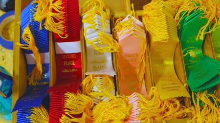 Box of fair McLean County fair ribbons