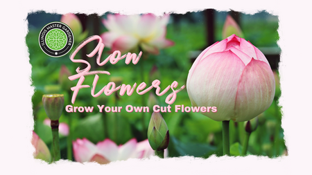 Slow Flowers: Grow Your Own Cut Flowers, garden with flowers growing pictured