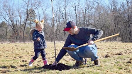 a dad and little girl planting a tree sapling