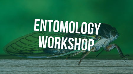 Entomology Workshop