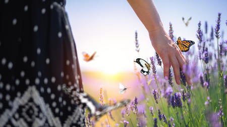 Woman's hand outstretched touching flowers. Butterflies are landing on her arm.