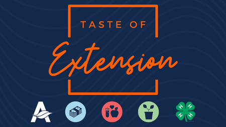 Text reads Taste of Extension in orange on a navy background.