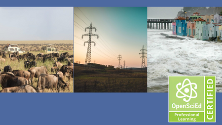Animals in the Serengeti, electric transmission towers, coastal structures and ocean waves