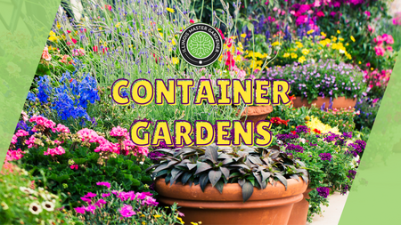 Container Gardens with Piatt County Master Gardeners, flowers in pots pictured