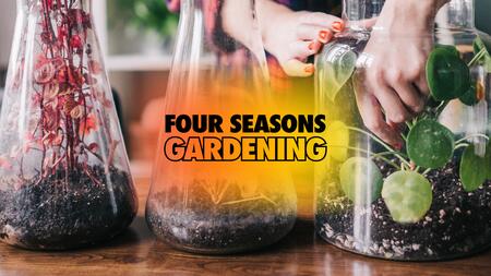 A person placing plants into a glass container to create a terrarium.