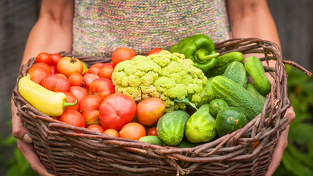 basket of veggies carried from the garden