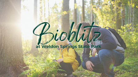 Bioblitz at Weldon Springs State Park, woman and child in a wooded area with sunshine pictured 