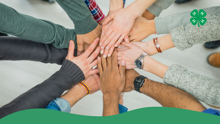 A stack of hands from all different people forming a hand-stack. A green 4-H clover in the top right hand corner of the image.