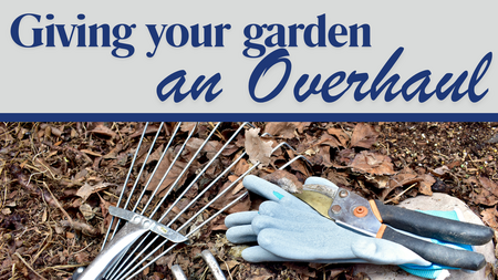 gardening rake, gloves and nippers on a background of dried leaves