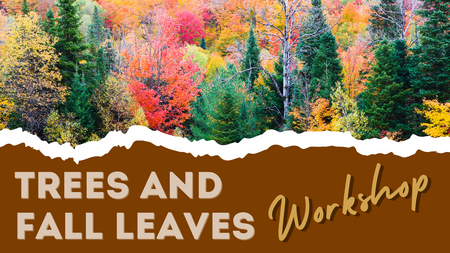 photo of a woods in the fall with a tear across it and dark brown on the bottom for the wording