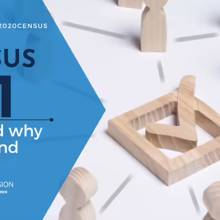 Census 101 Graphic: How and why to respond