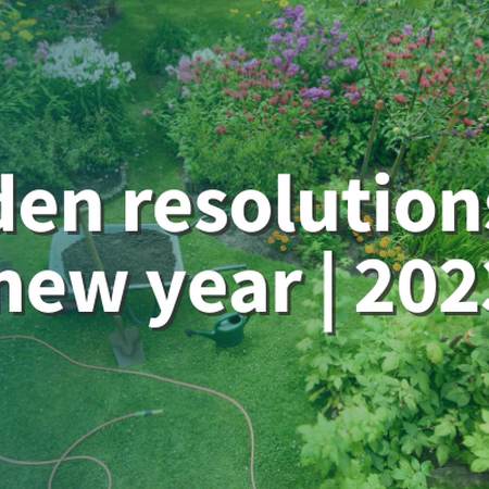 Garden resolutions for the new year | 2023. Garden with purple, red, pink, and white blooming plants and a wheelbarrow, shovel, and hose.