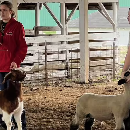 two girls show a sheep and goat
