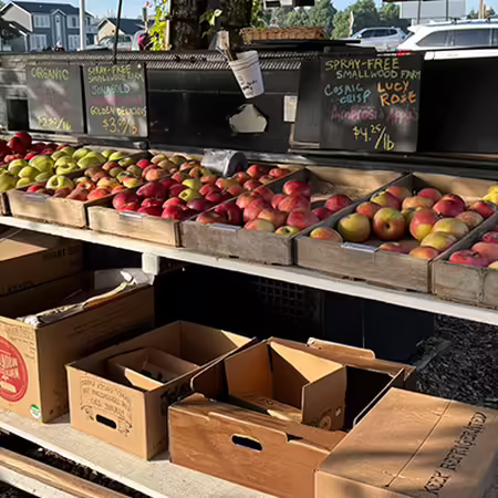 apples displayed in trays on a table for sale at a roadside market