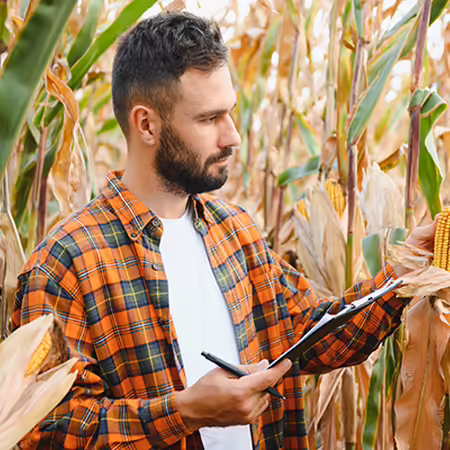Man with clipboard in cornfield