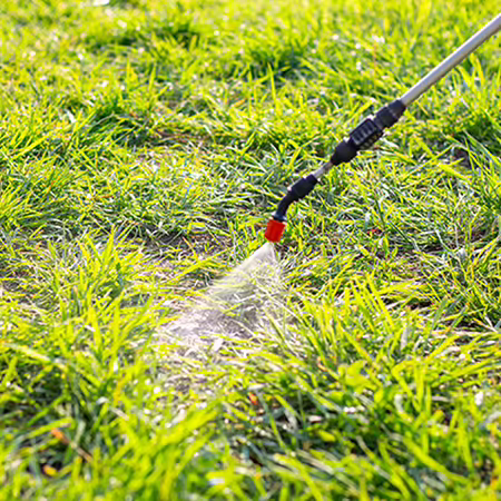 lawn being sprayed with a pesticide