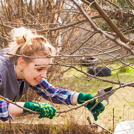 A woman in a vest, long sleeved flannel shirt and gloves prunes a tree branch with hand clippers