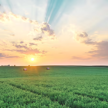 A hay field with bales and the sun setting in the background. 