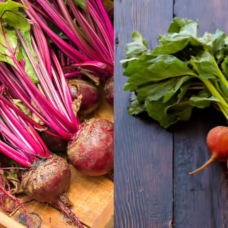 Red and golden beets with stems and leaves 
