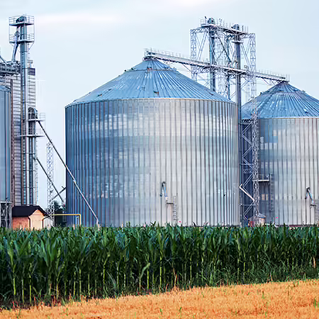 Grain bins surrounded by a field of crops. 
