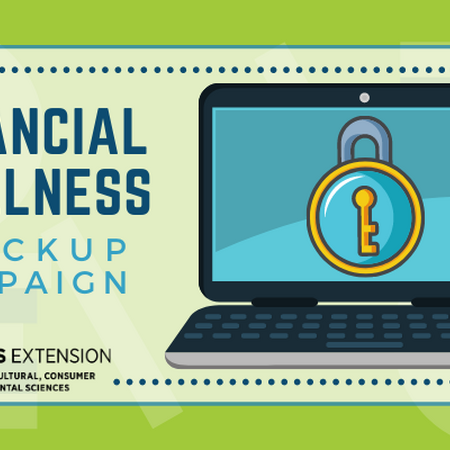 Financial Wellness Checkup Campaign