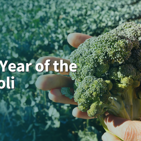 2023: Year of the Broccoli hands holding head of green broccoli in foreground, field of broccoli in background