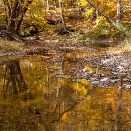   autumn landscape of a creek in Cuivre river state park near Troy, MO