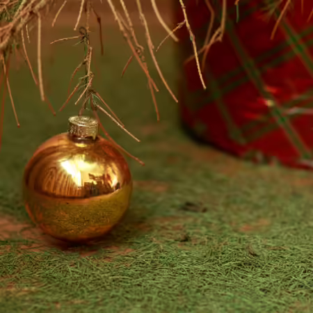 A golden Christmas ball on a dry branch of a Christmas tree without needles.