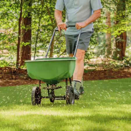 man spreading fertilizer with manual broadcast spreader