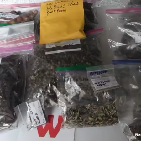 plastic zip top bags labeled with various species of native Illinois prairie seeds