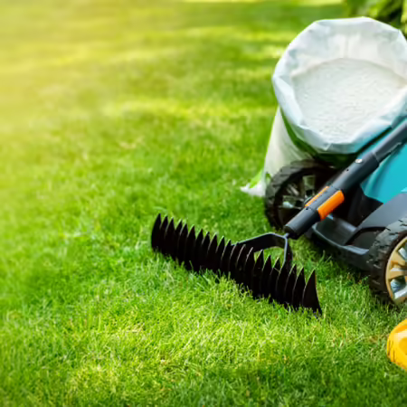 a bright green lawn with a lawn mower, rake, sprinkler head, and bag of fertilizer 