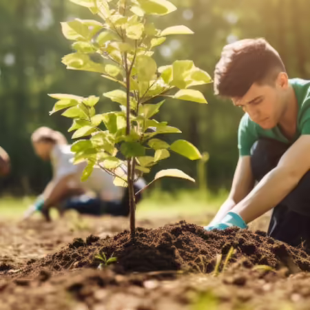 Group of people planting trees man planting in the foreground two more planting in the background