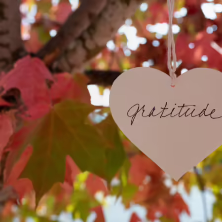 A tree with golden leaves and a heart with the word gratitude hanging from a branch