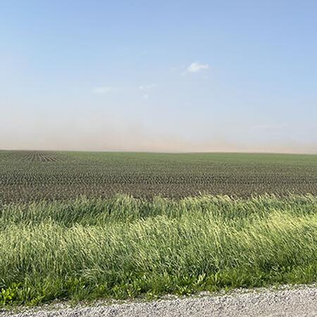 Roadside view of dust storm over corn field.