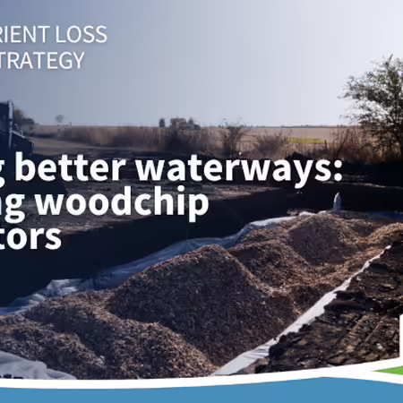 Woodchip bioreactor