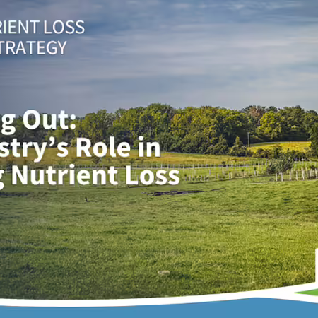 Agroforestry implemented on a rolling landscape