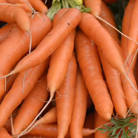 a bunch of carrots on a farmers market table