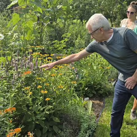 Several people looking at plants
