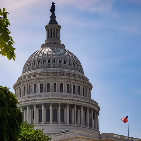 The U.S. Capitol building dome.