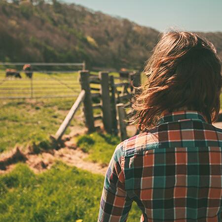 A person standing to think while staring at a far off herd of cattle in a pasture.