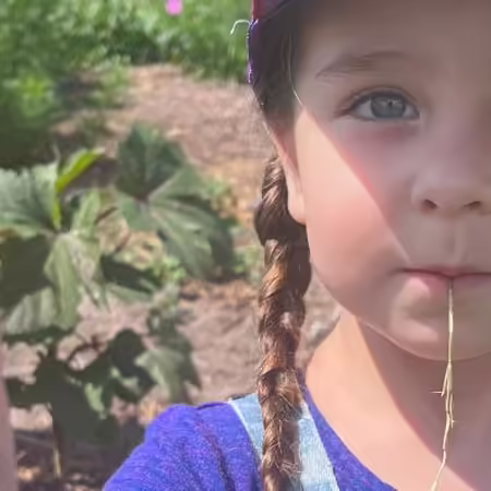 A child holds an small orange tomato close to the camera