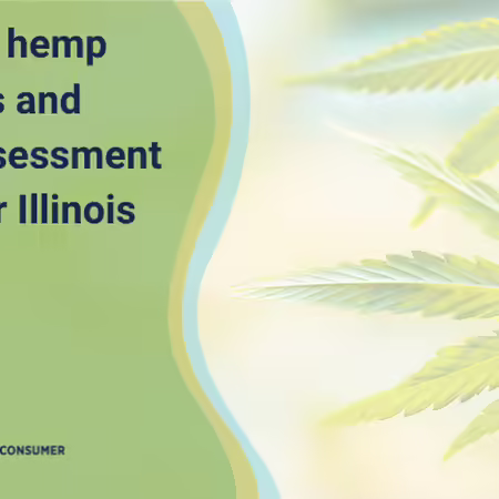 close up of industrial hemp plant leaves