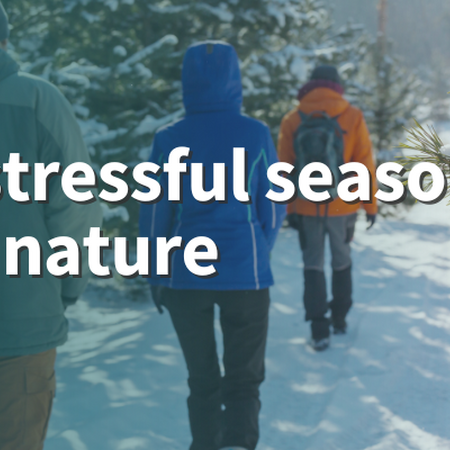 In a stressful season, seek nature three adults walking away in a line on a snow covered trail in a evergreen woods