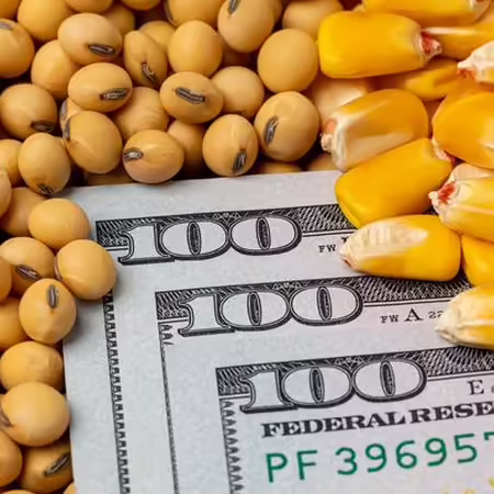 Money surrounded by corn and soybeans. 